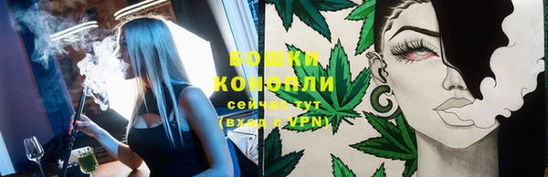 дживик Аркадак