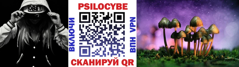 Псилоцибиновые грибы Psilocybe  где можно купить наркотик  Узловая 